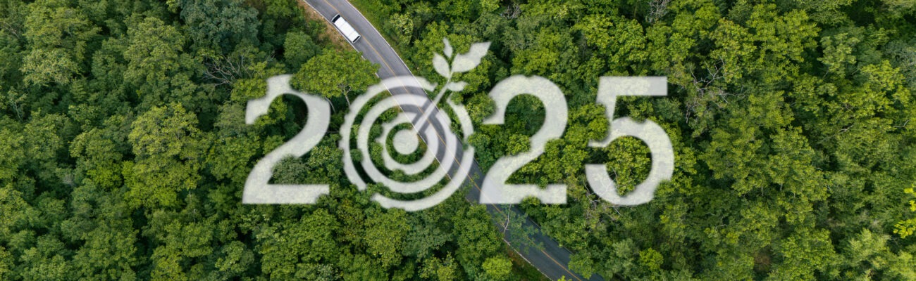 esg and csrd reporting 2025
